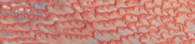 Arabian desert, NASA photo