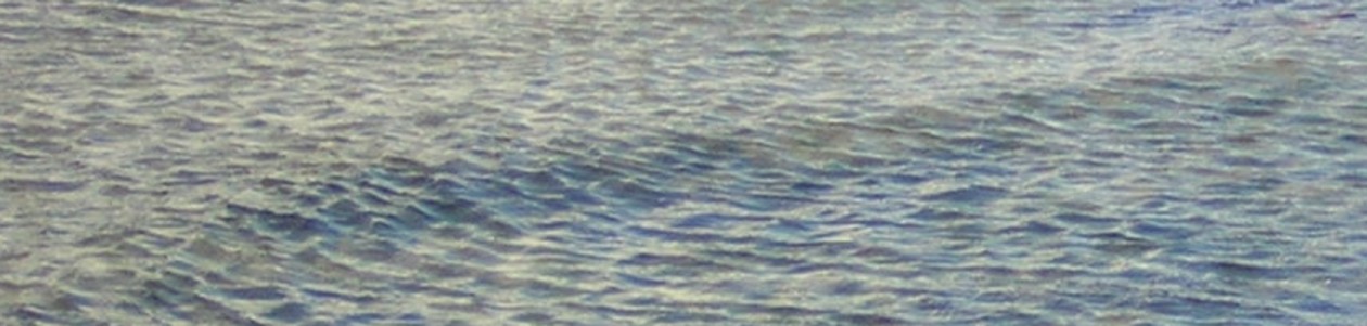 Ripples on a sea of change